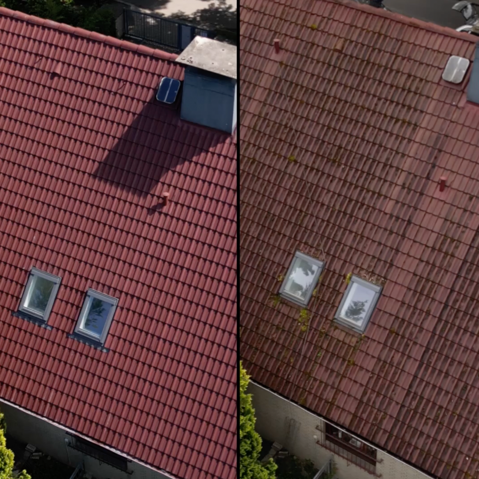 Dachreinigung in Hamburg und Schleswig Holstein